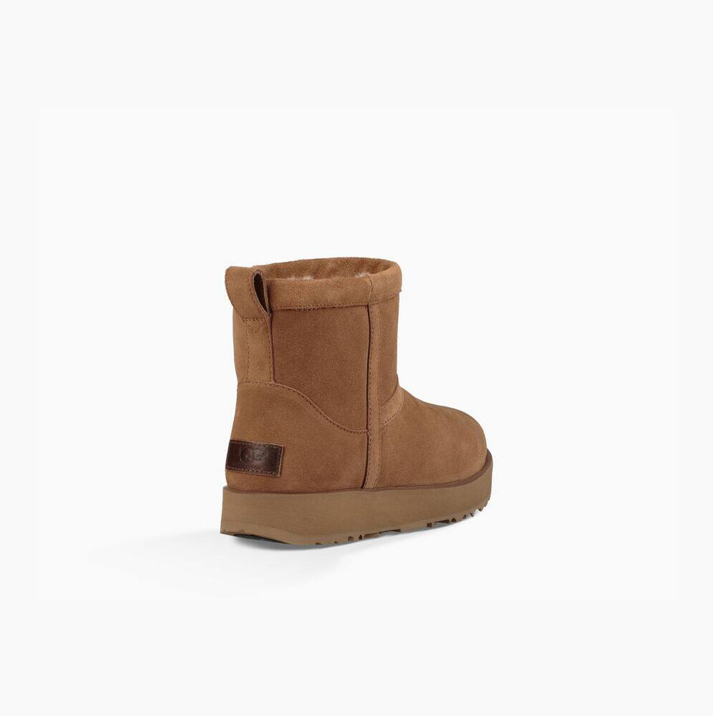 Dámské Classic Boots UGG Classic Mini Weather Hnědé | FWBXWOSB