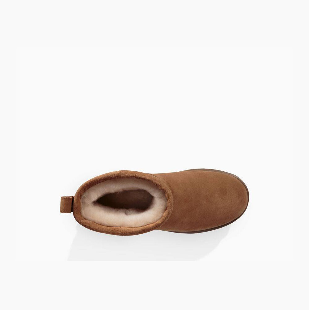 Dámské Classic Boots UGG Classic Mini Weather Hnědé | FWBXWOSB