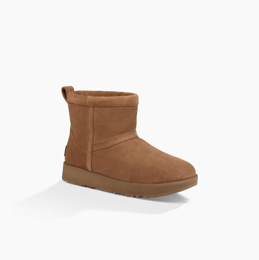 Dámské Classic Boots UGG Classic Mini Weather Hnědé | Z0BNKII1