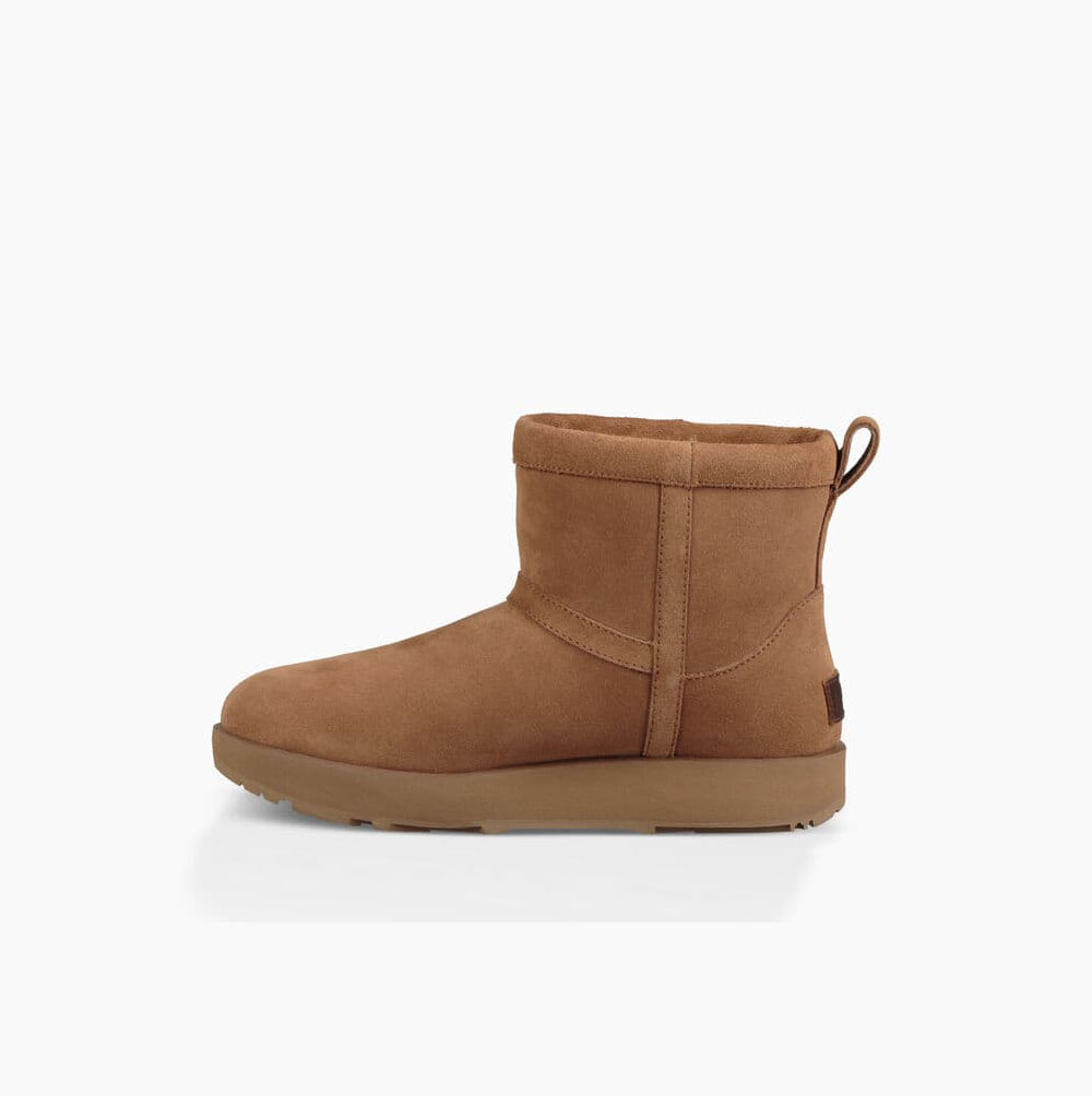 Dámské Classic Boots UGG Classic Mini Weather Hnědé | Z0BNKII1