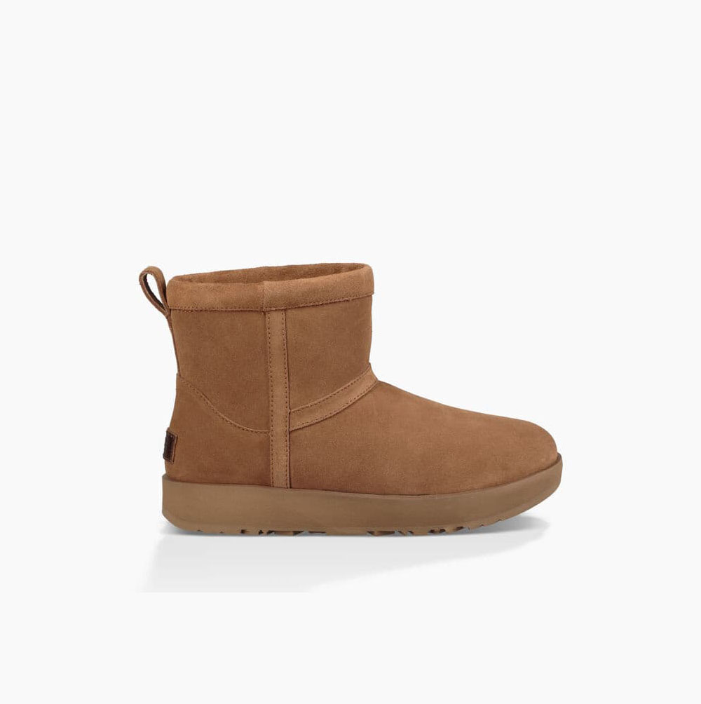 Dámské Classic Boots UGG Classic Mini Weather Hnědé | Z0BNKII1