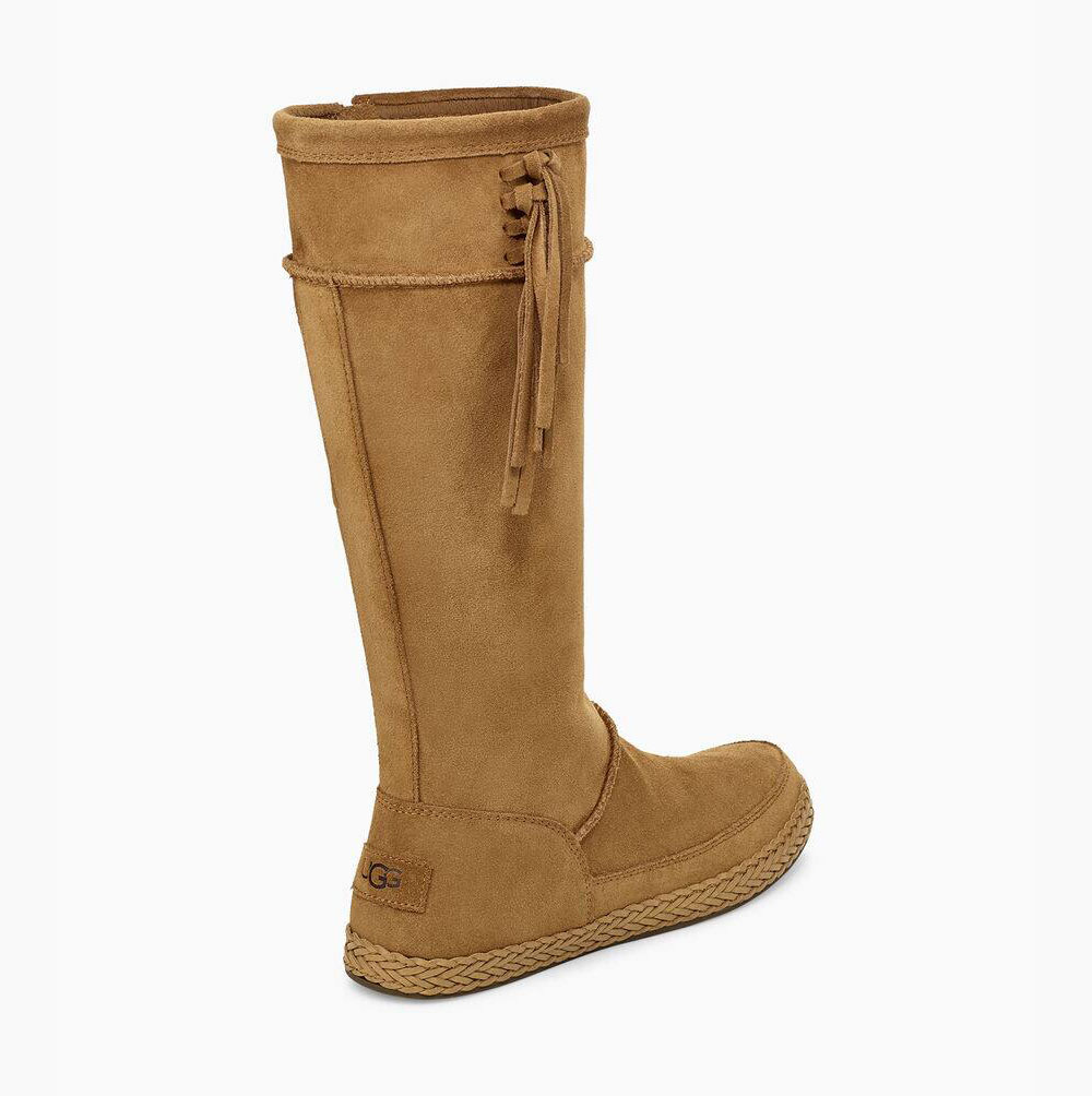 Dámské Knee High Boots UGG Emerie Vysoké Hnědé | 59ROHU9Y