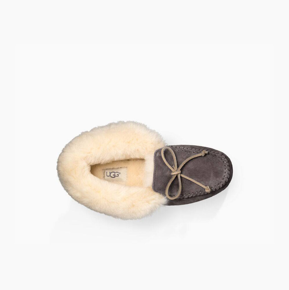 Dámské Loafers UGG Alena Tmavě Šedé | T308QIXX