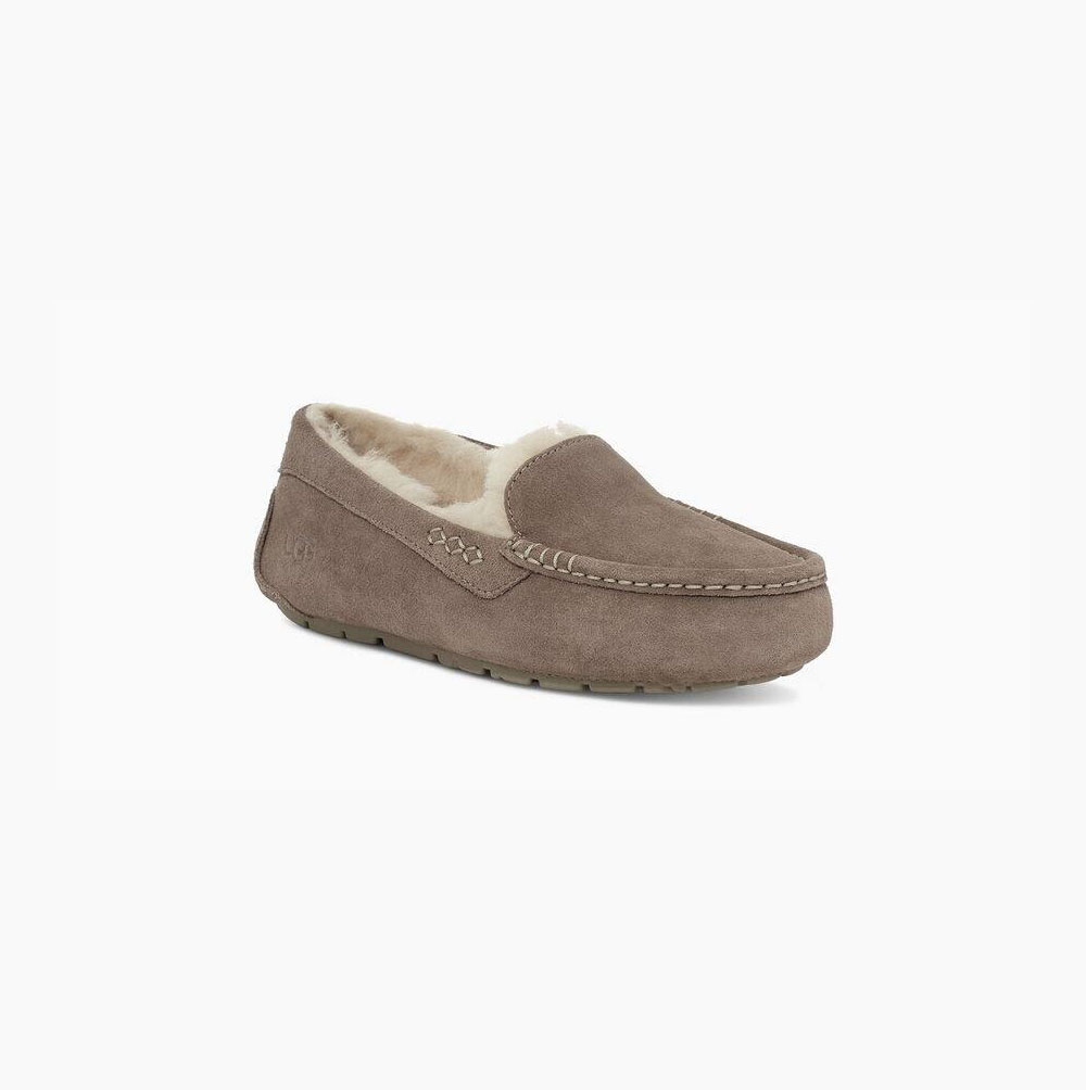 Dámské Loafers UGG Ansley Béžový | PZU4TXUP