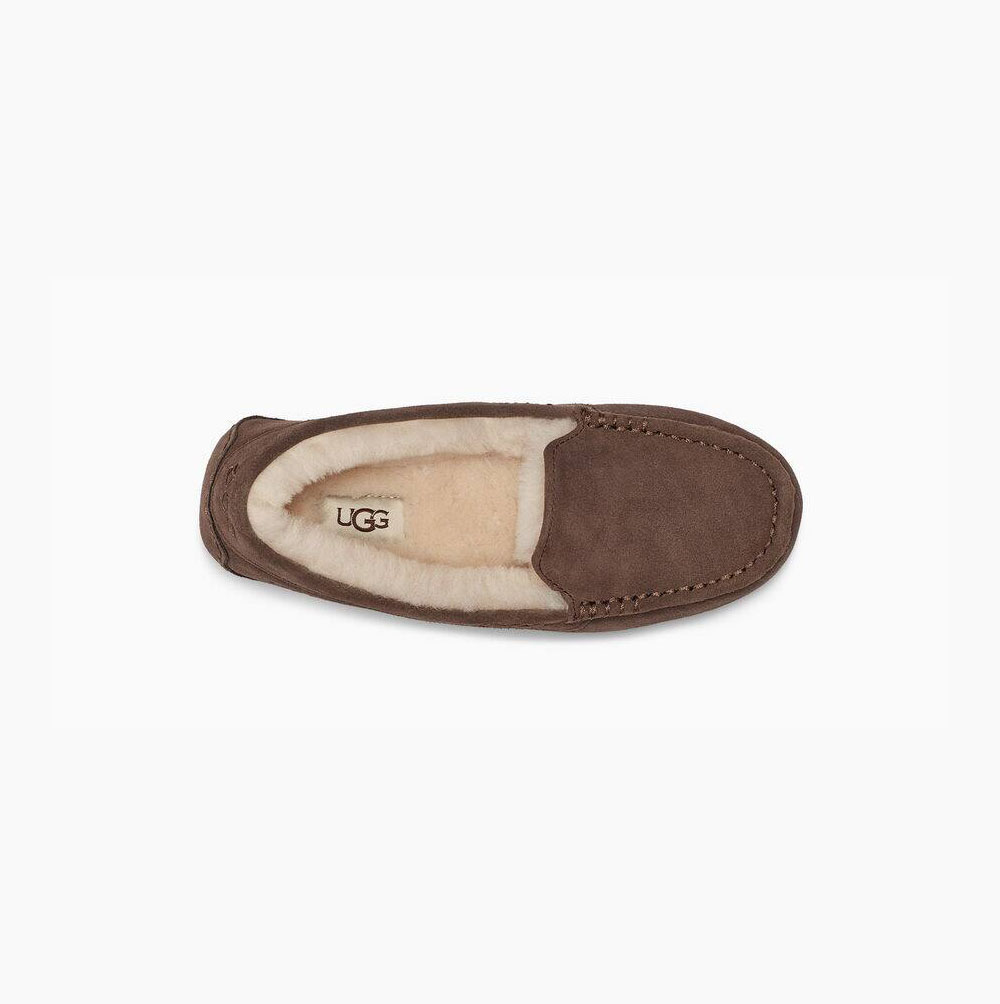 Dámské Loafers UGG Ansley Hnědé | SX2AN783