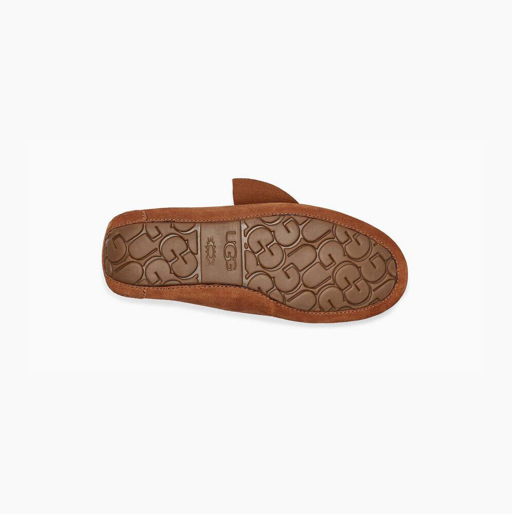 Dámské Loafers UGG Ansley Twist Hnědé | ELF01KMI