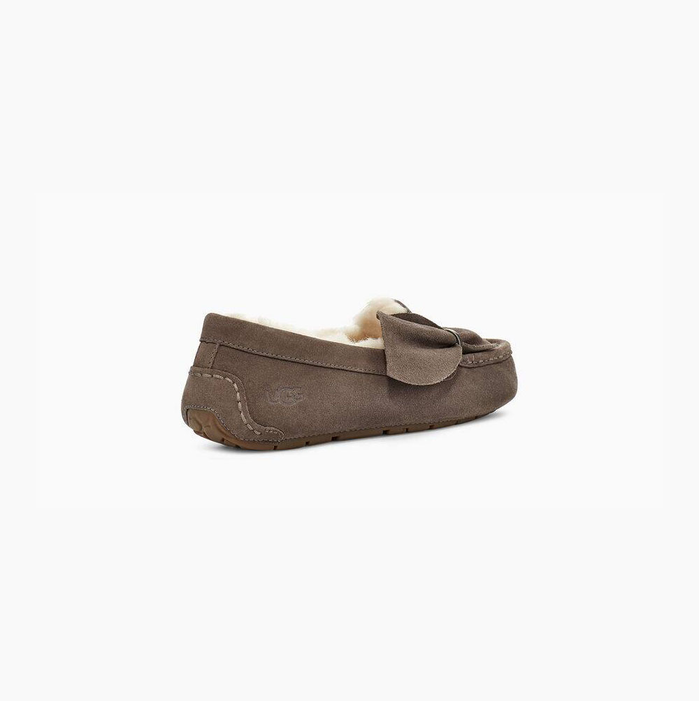 Dámské Loafers UGG Ansley Twist Hnědé | GQCJKIE4