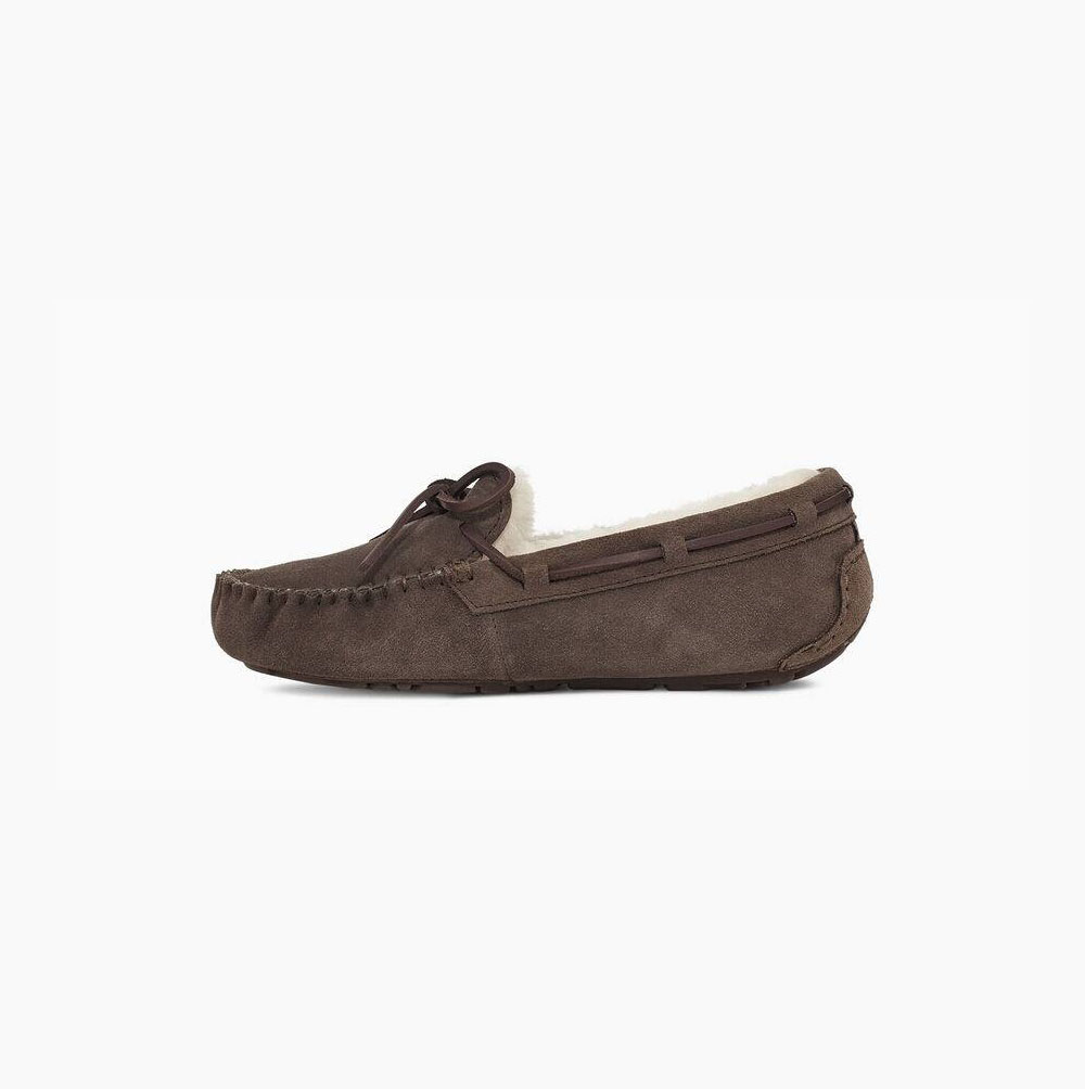 Dámské Loafers UGG Dakota Hnědé | F5CIS9K5