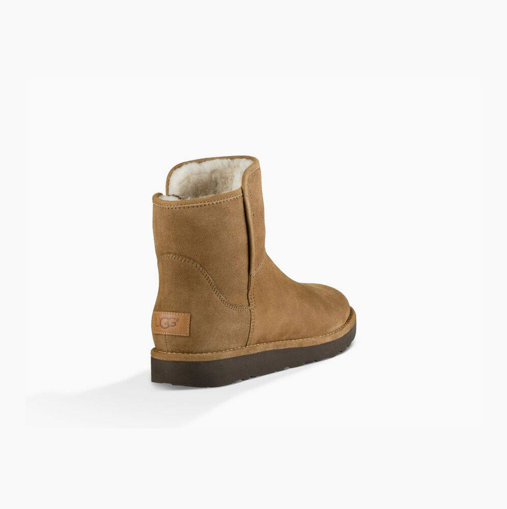 Dámské Mini Boots UGG Abree Mini Hnědožlutý | 2CY0H0W1