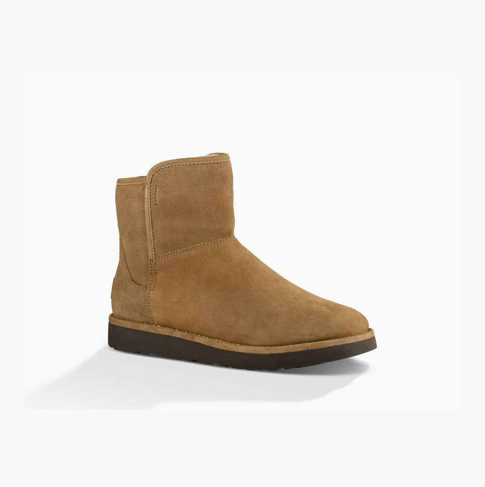 Dámské Mini Boots UGG Abree Mini Hnědožlutý | PDX6OYYJ