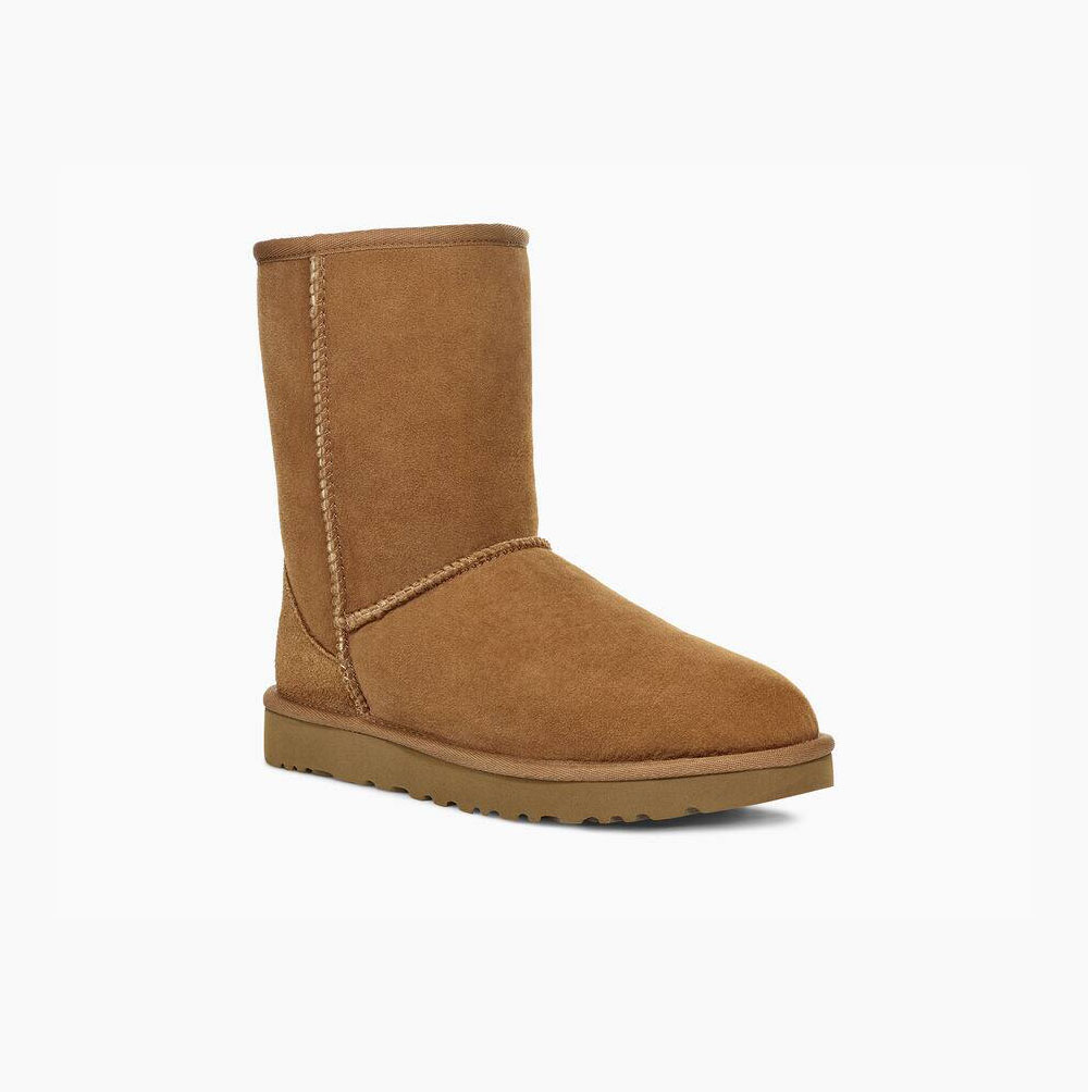 Dámské Nízké Kozačky UGG Classic II Hnědé | X1OMA54V