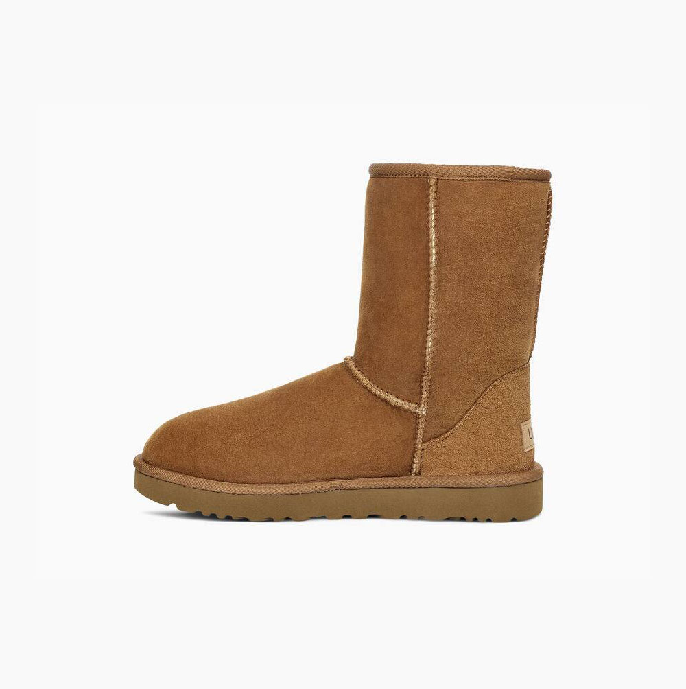 Dámské Nízké Kozačky UGG Classic II Hnědé | X1OMA54V