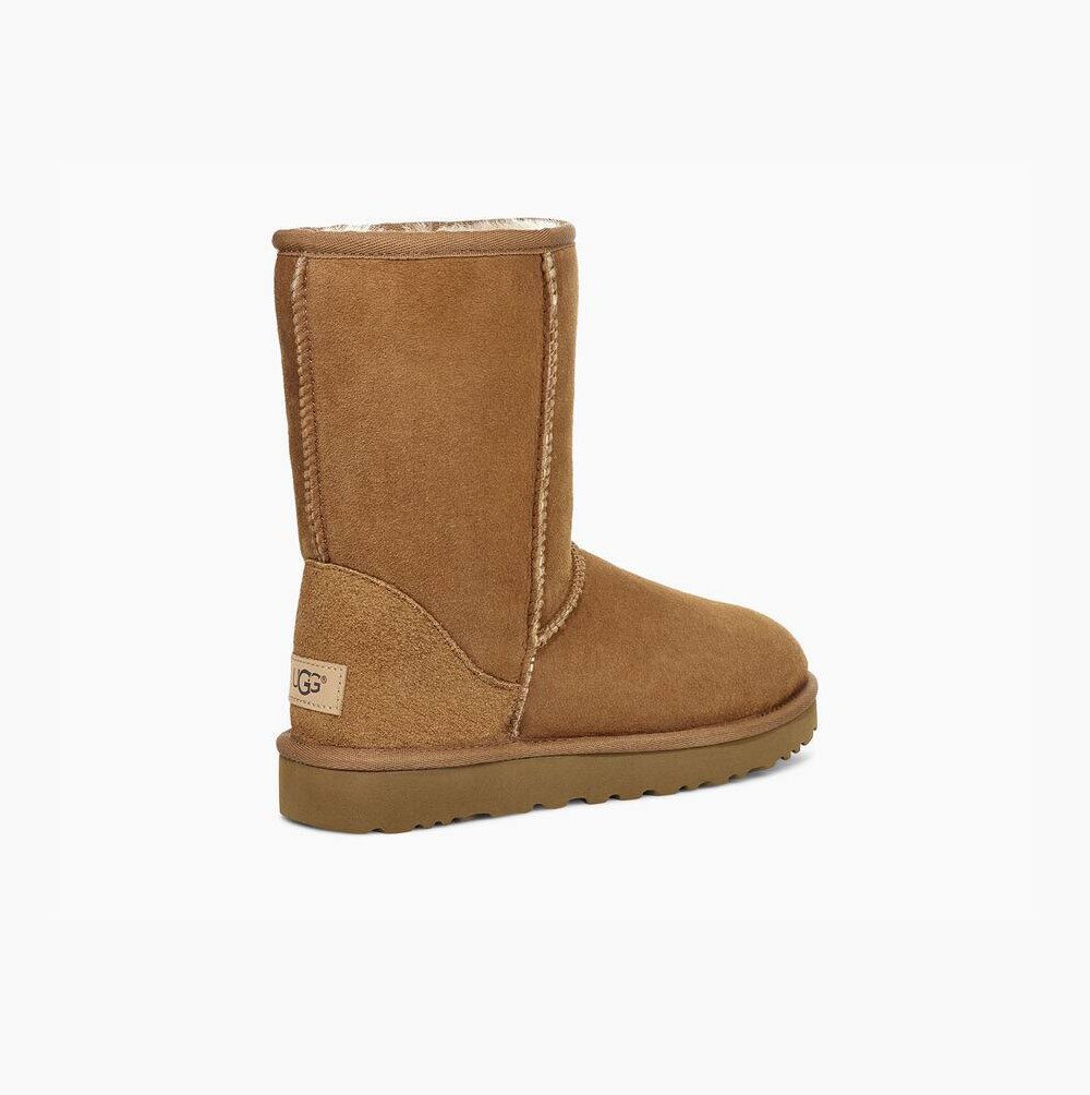 Dámské Nízké Kozačky UGG Classic II Hnědé | X1OMA54V