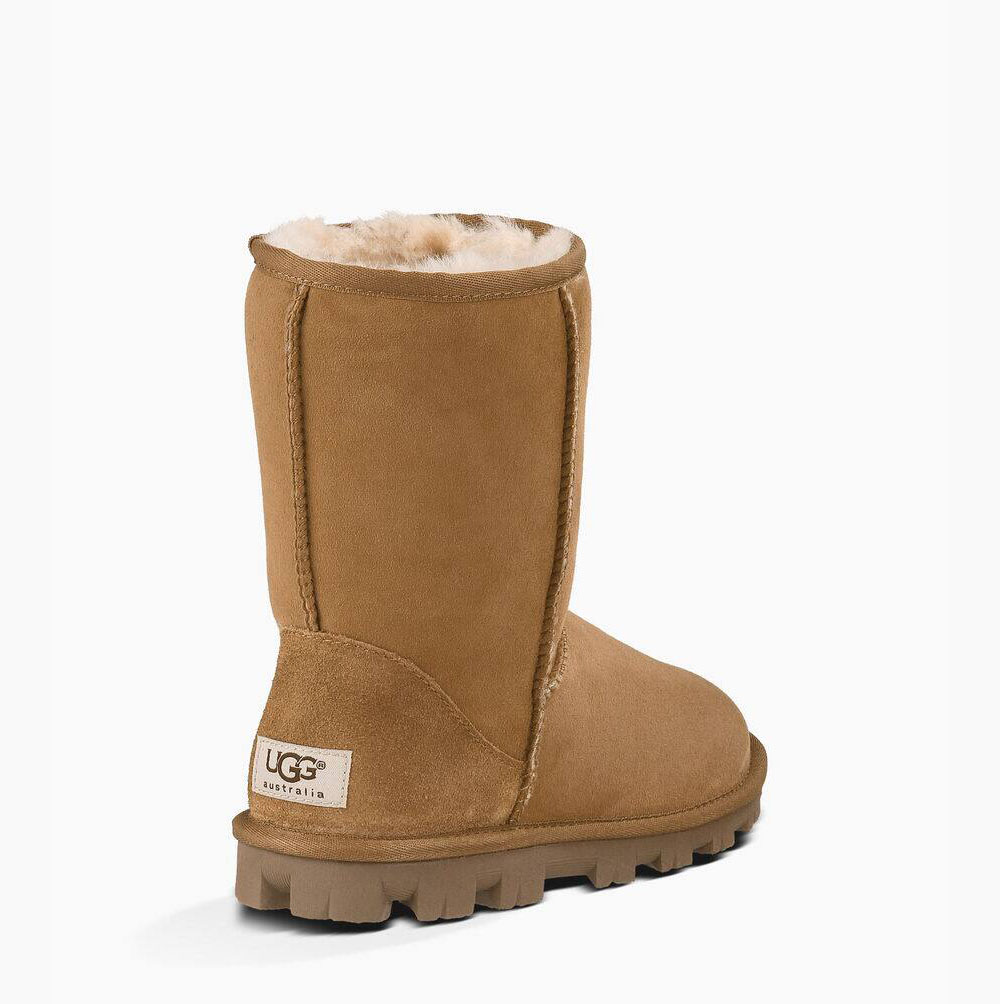 Dámské Nízké Kozačky UGG Essential Hnědé | SU1YEJOZ