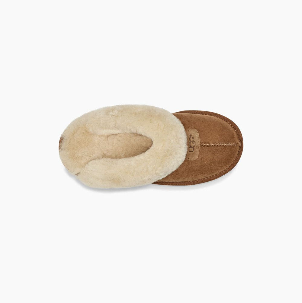 Dámské Pantofle UGG Coquette Hnědé | 2WGVRF4H