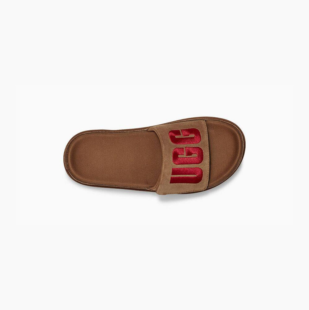 Dámské Pantofle UGG Laton Platformy Pantofle Hnědé | 1G3ZZ4OD