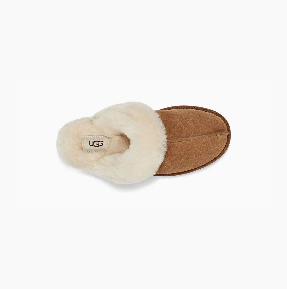 Dámské Pantofle UGG Scuffette II Hnědé | KGZHLMG6