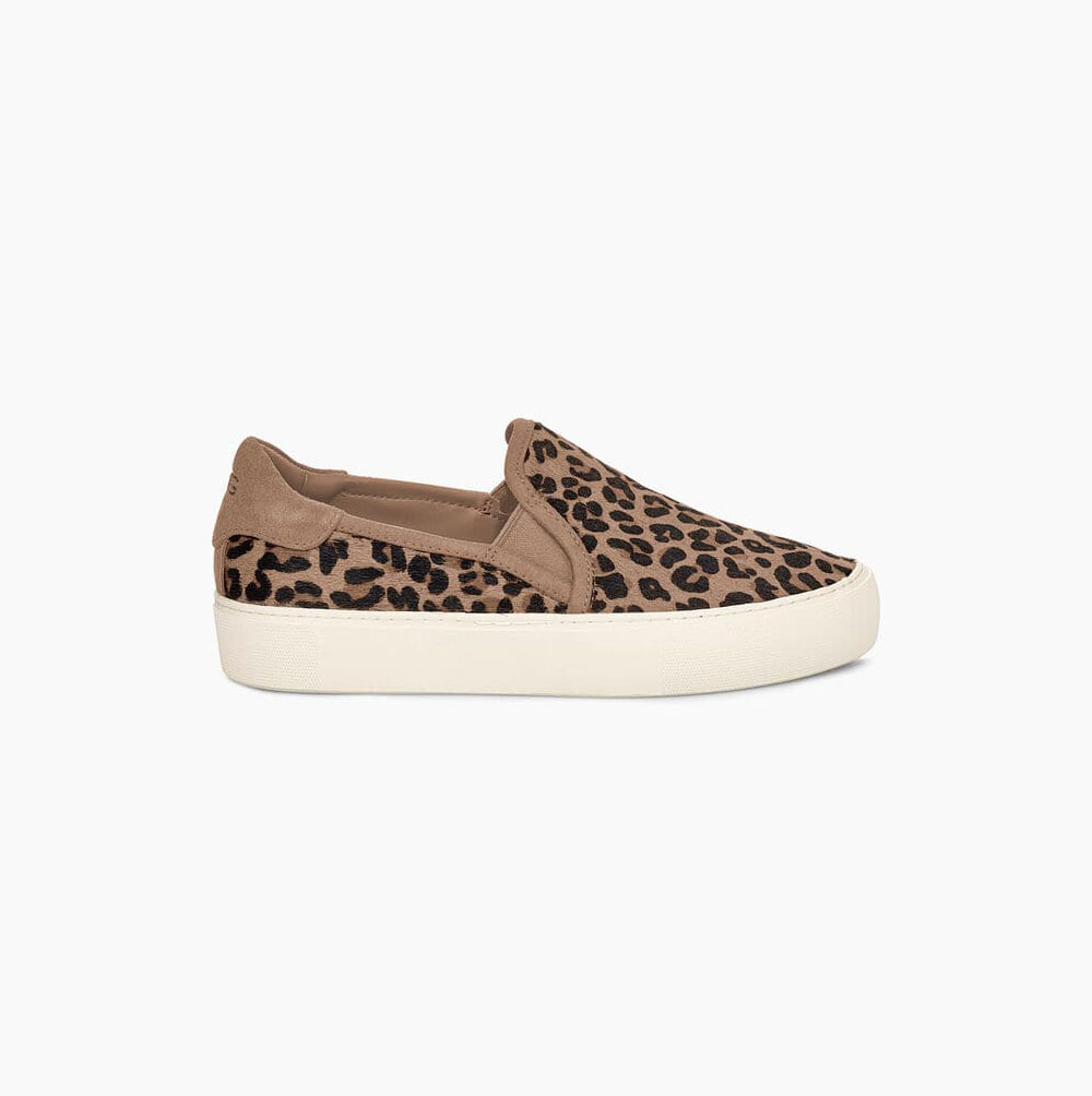 Dámské Slip On Tenisky UGG Jass Exotic Béžový | IZFHZ99X