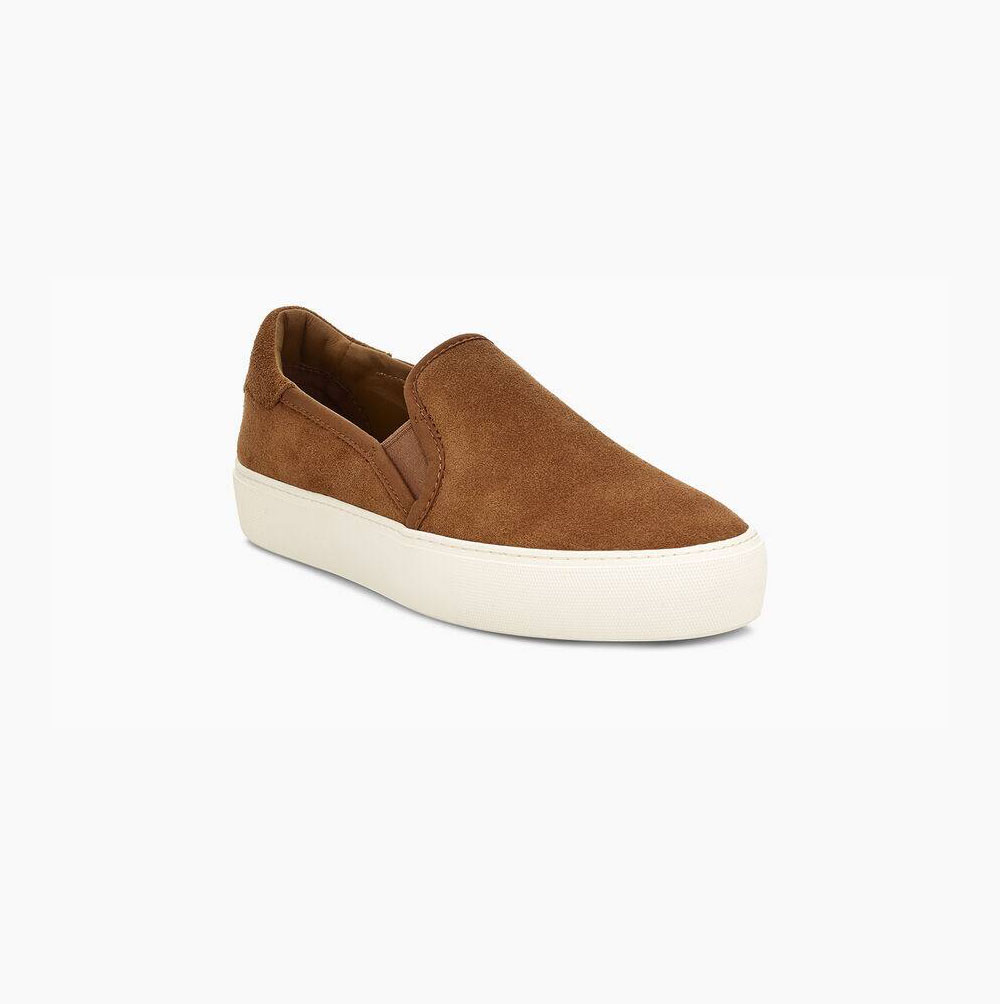 Dámské Slip On Tenisky UGG Jass Semišové Hnědé | 1TTXHGCL