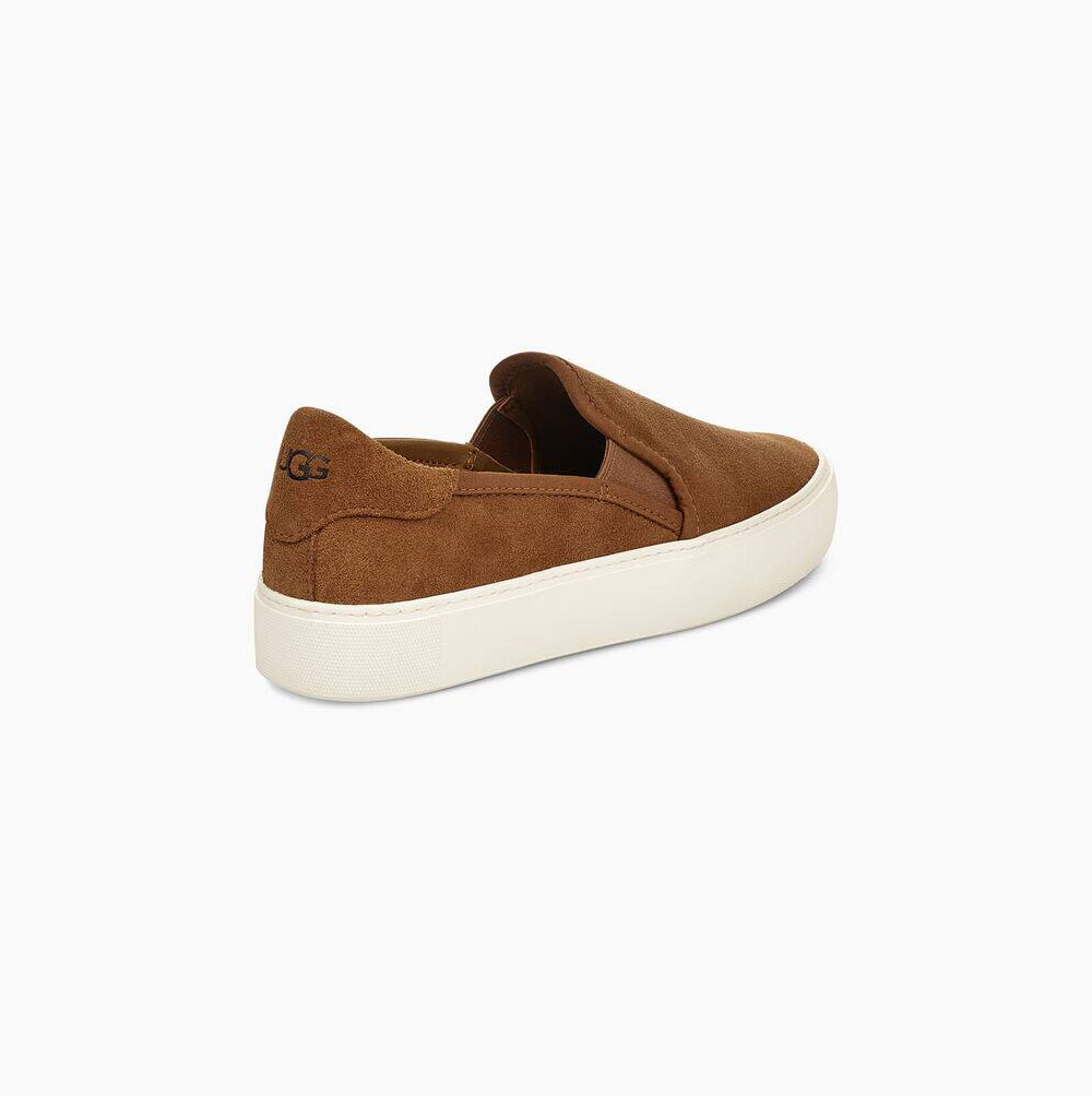 Dámské Slip On Tenisky UGG Jass Semišové Hnědé | 1TTXHGCL