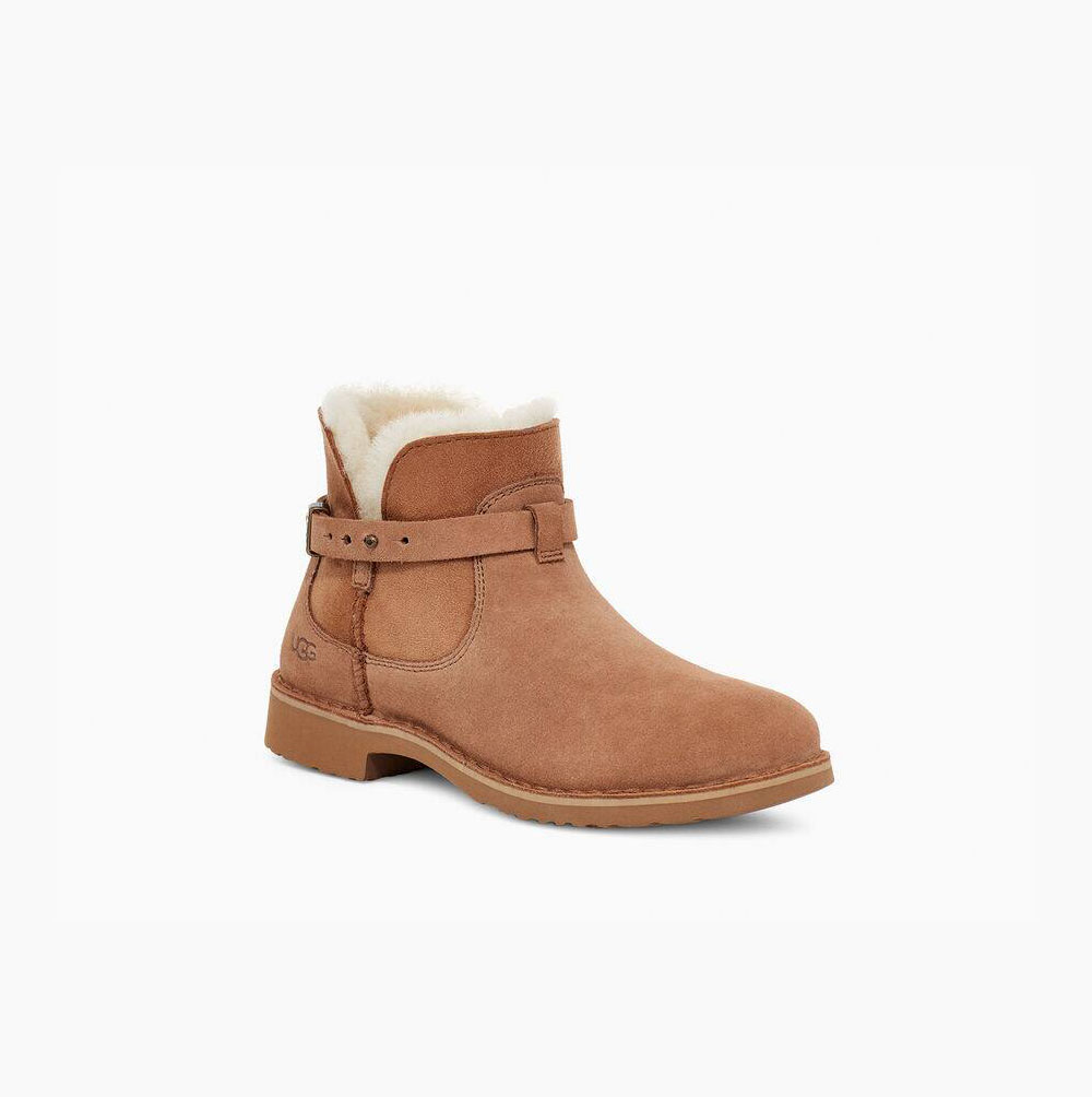 Dámské Zimní Boty UGG Elisa Hnědé | I8X3201Z