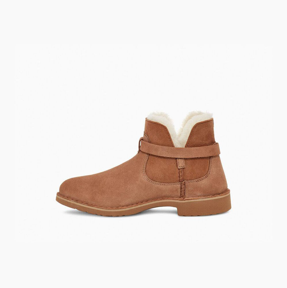 Dámské Zimní Boty UGG Elisa Hnědé | I8X3201Z