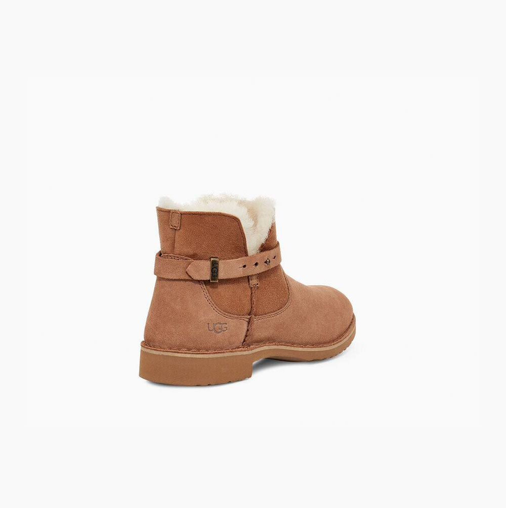 Dámské Zimní Boty UGG Elisa Hnědé | I8X3201Z