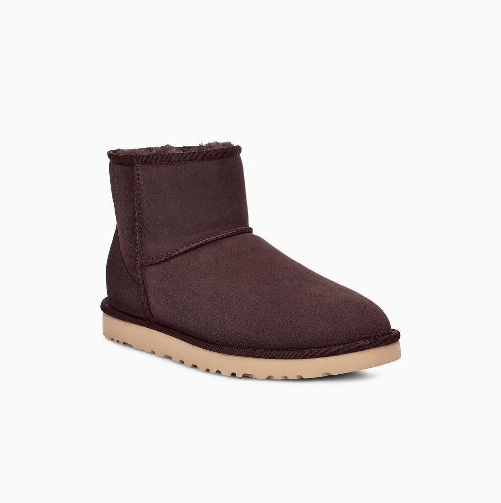 Pánské Classic Boots UGG Classic Mini Hnědé | F2GRIJ4Q