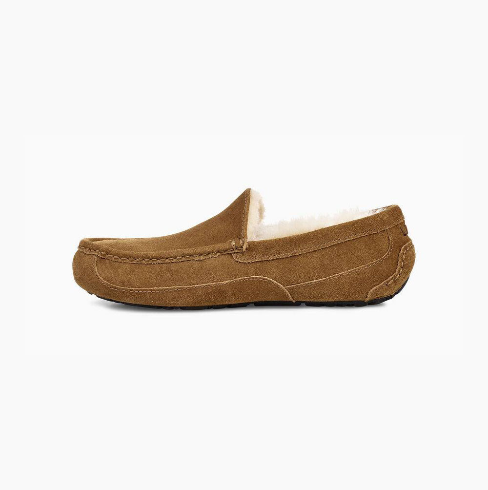 Pánské Loafers UGG Ascot Hnědé | EMOQG1U3