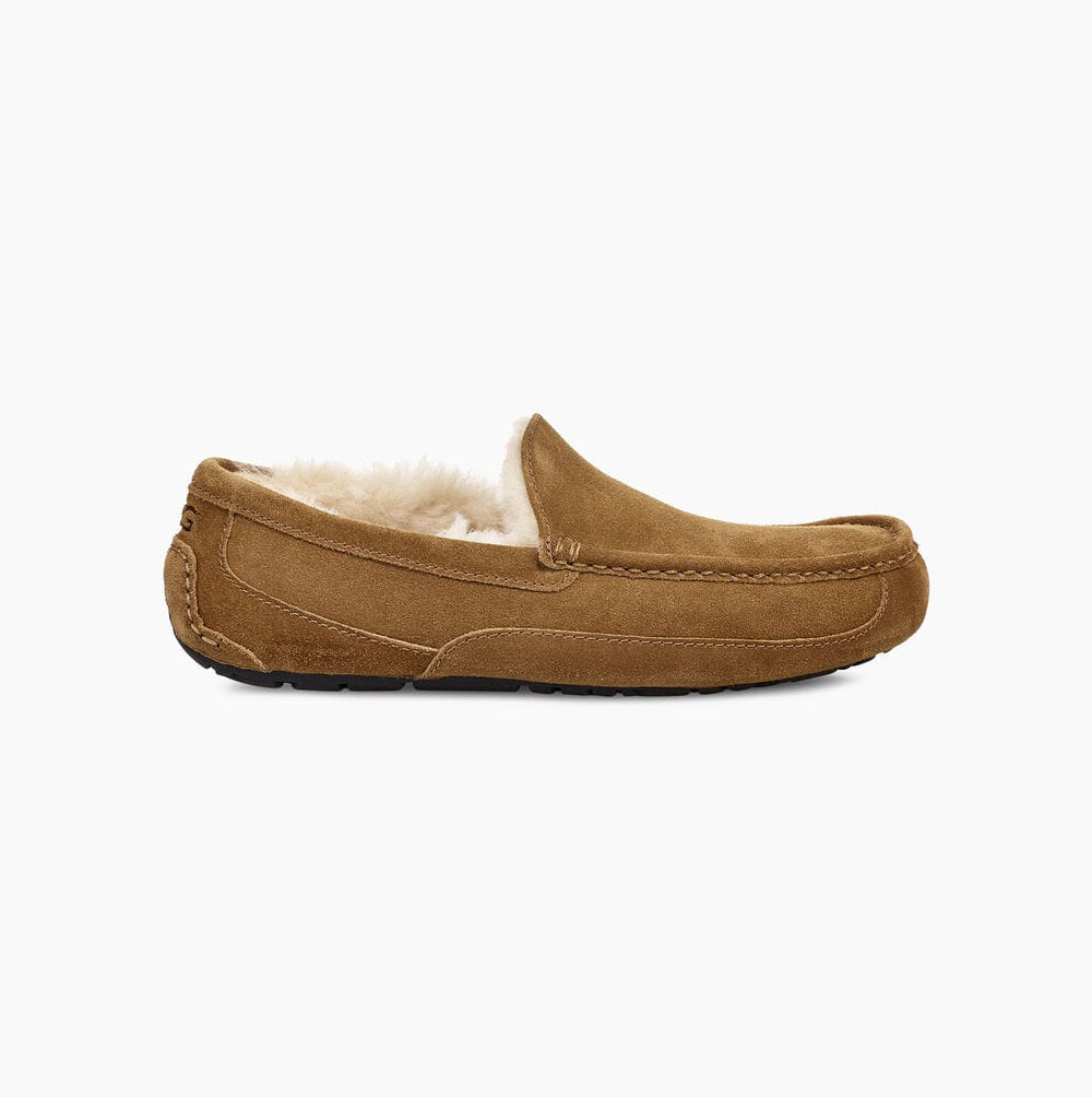 Pánské Loafers UGG Ascot Hnědé | EMOQG1U3