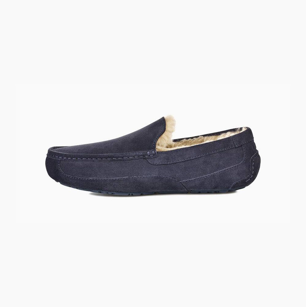 Pánské Loafers UGG Ascot Tmavě Blankyt | F3RB1AIB