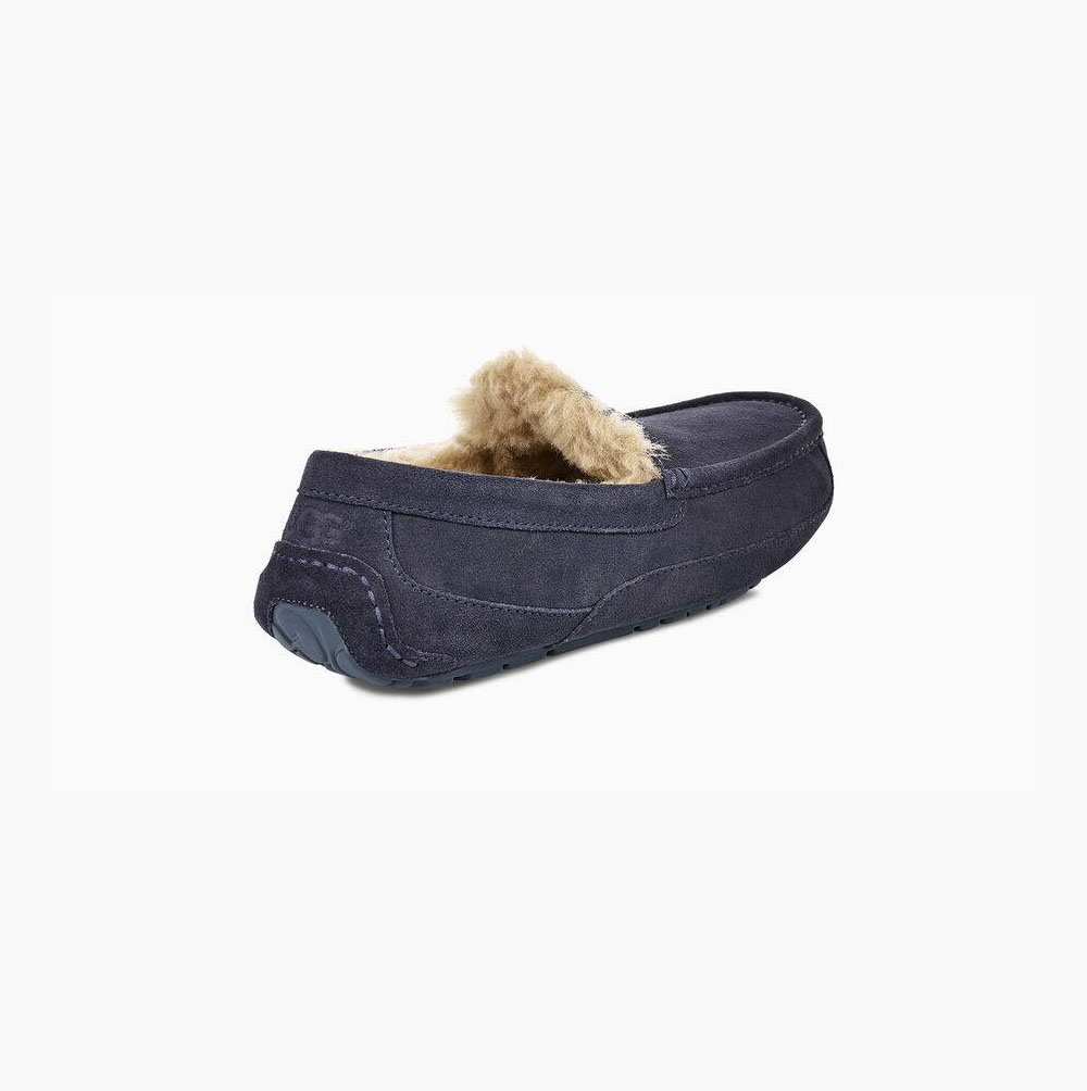 Pánské Loafers UGG Ascot Tmavě Blankyt | F3RB1AIB