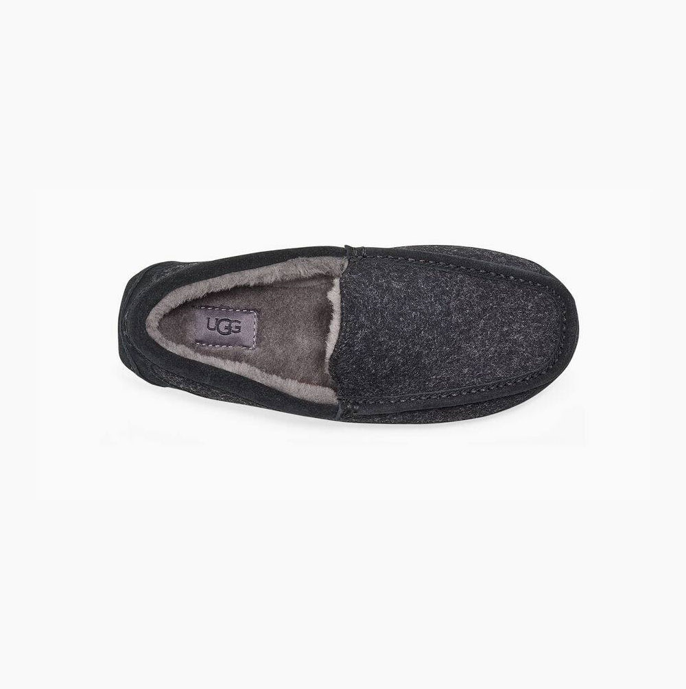 Pánské Loafers UGG Ascot Vlna Černé | 0OA1MJJW