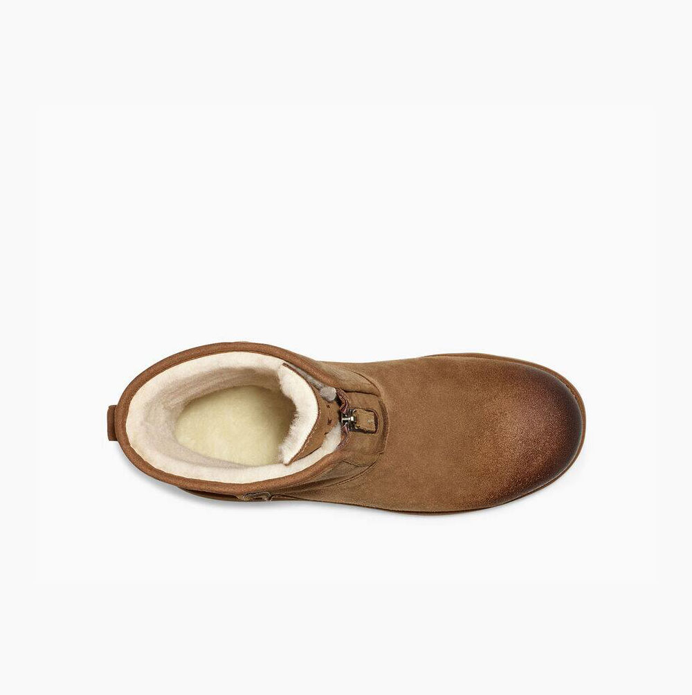 Pánské Nízké Kozačky UGG Classic Front Zip Weather Hnědé | 081WLGFH