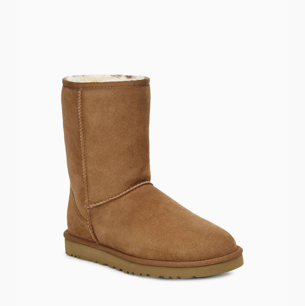 Pánské Nízké Kozačky UGG Classic Hnědé | ETHP08V2