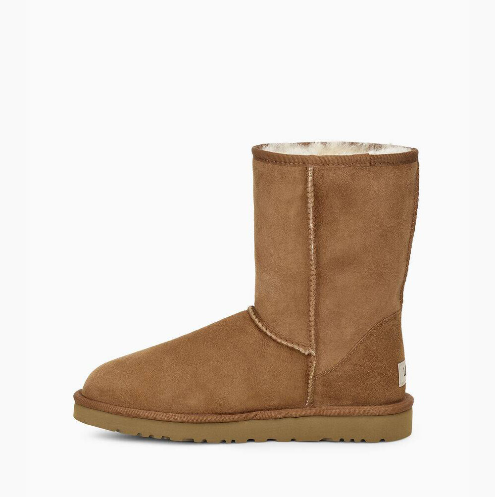 Pánské Nízké Kozačky UGG Classic Hnědé | ETHP08V2