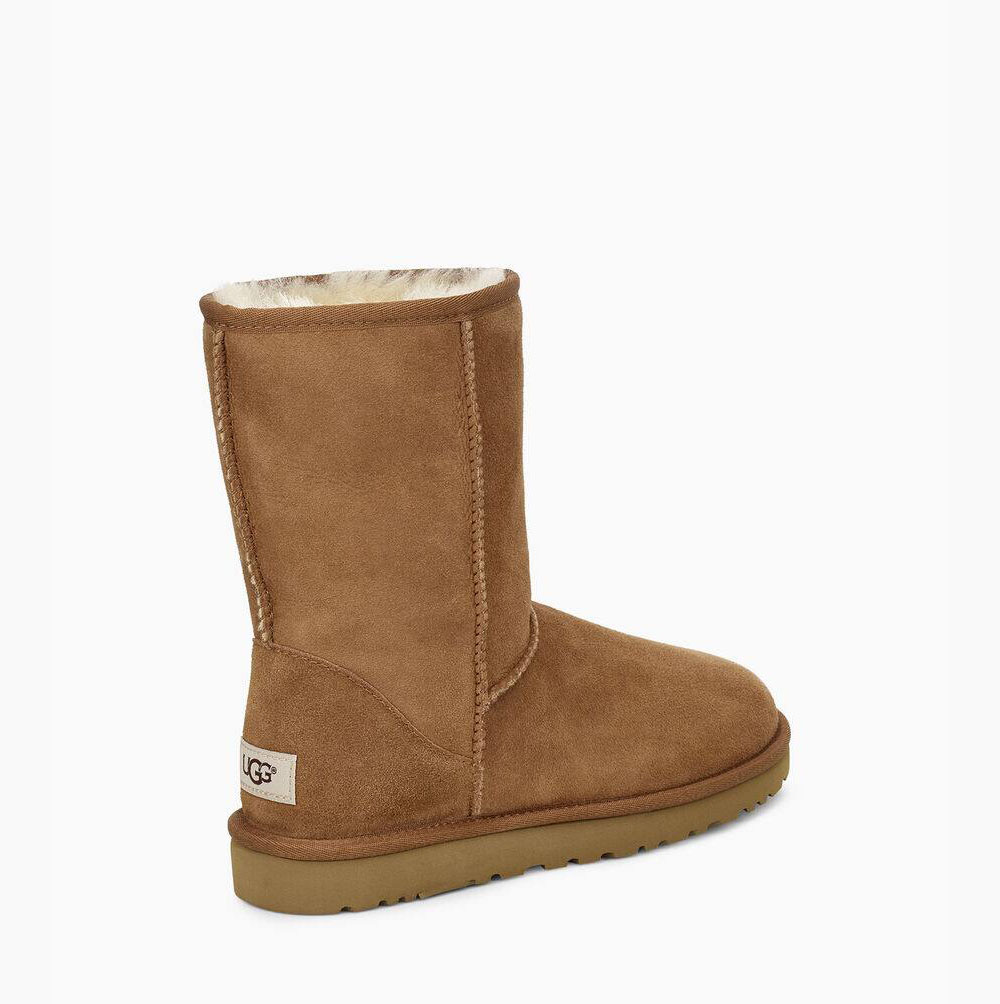 Pánské Nízké Kozačky UGG Classic Hnědé | ETHP08V2