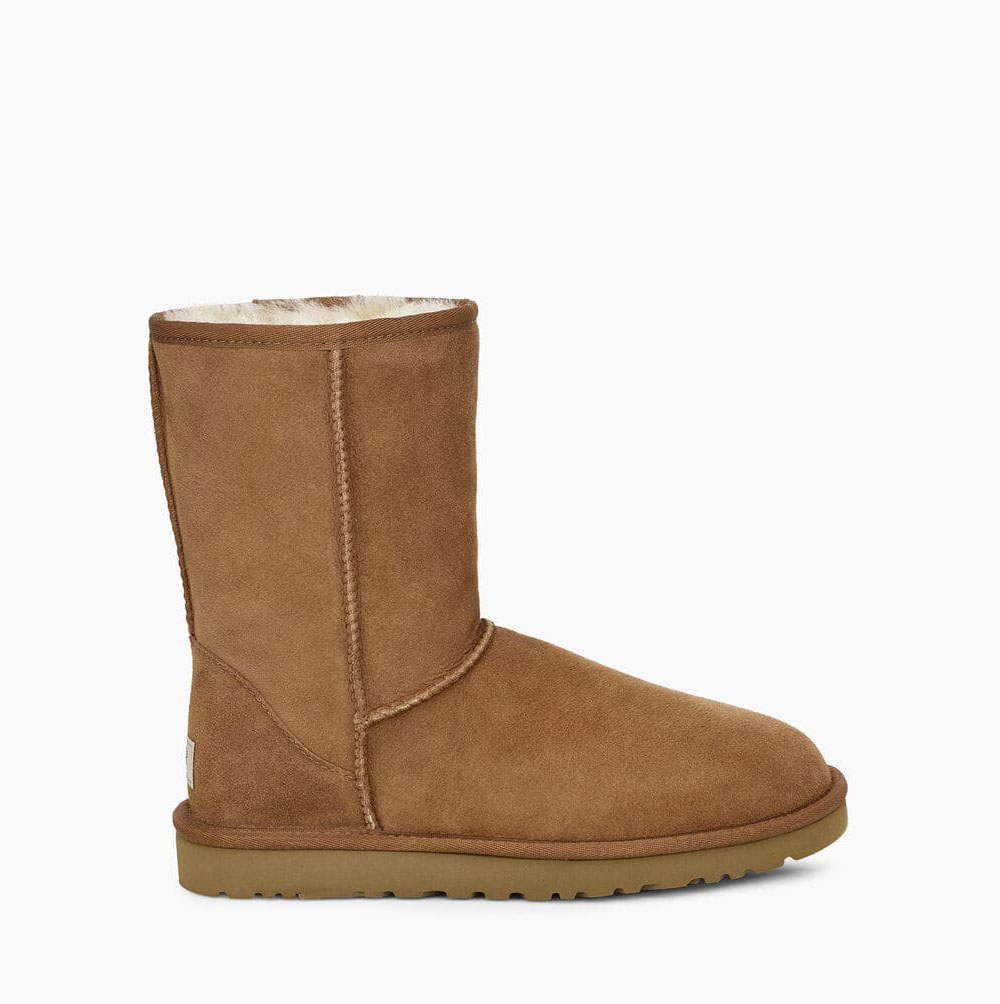 Pánské Nízké Kozačky UGG Classic Hnědé | ETHP08V2