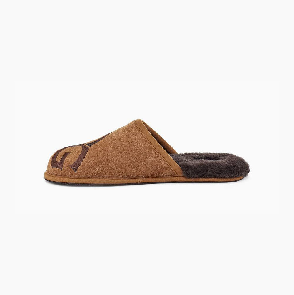 Pánské Pantofle UGG Scuff Logo Hnědé | ZVDUNTVO