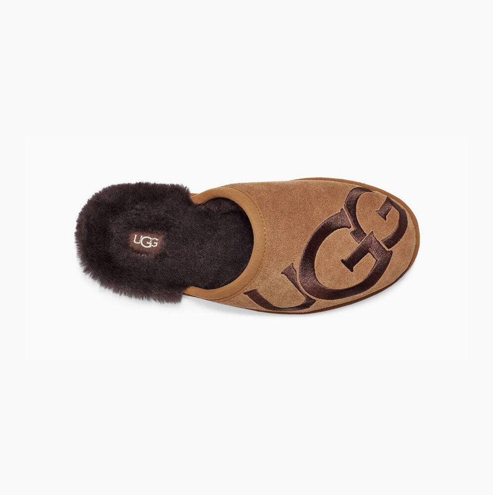 Pánské Pantofle UGG Scuff Logo Hnědé | ZVDUNTVO