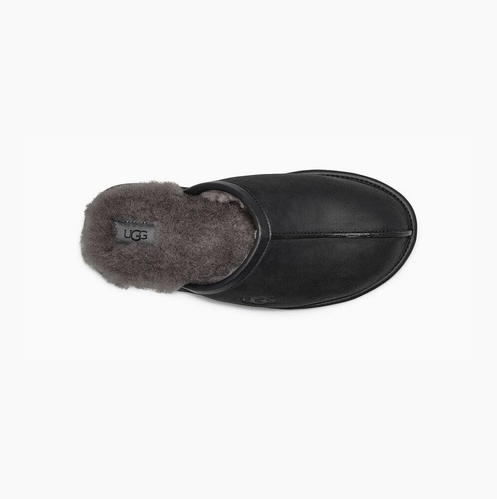 Pánské Pantofle UGG Scuff Læder Černé | TJO9GQ6C