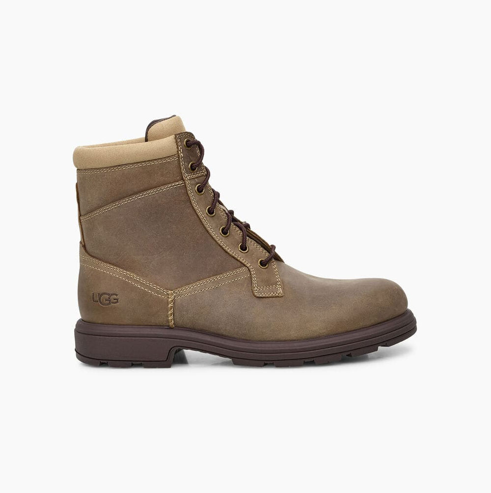 Pánské Pracovní Boty UGG Biltmore Workboot Hnědé | HRIWTXRF