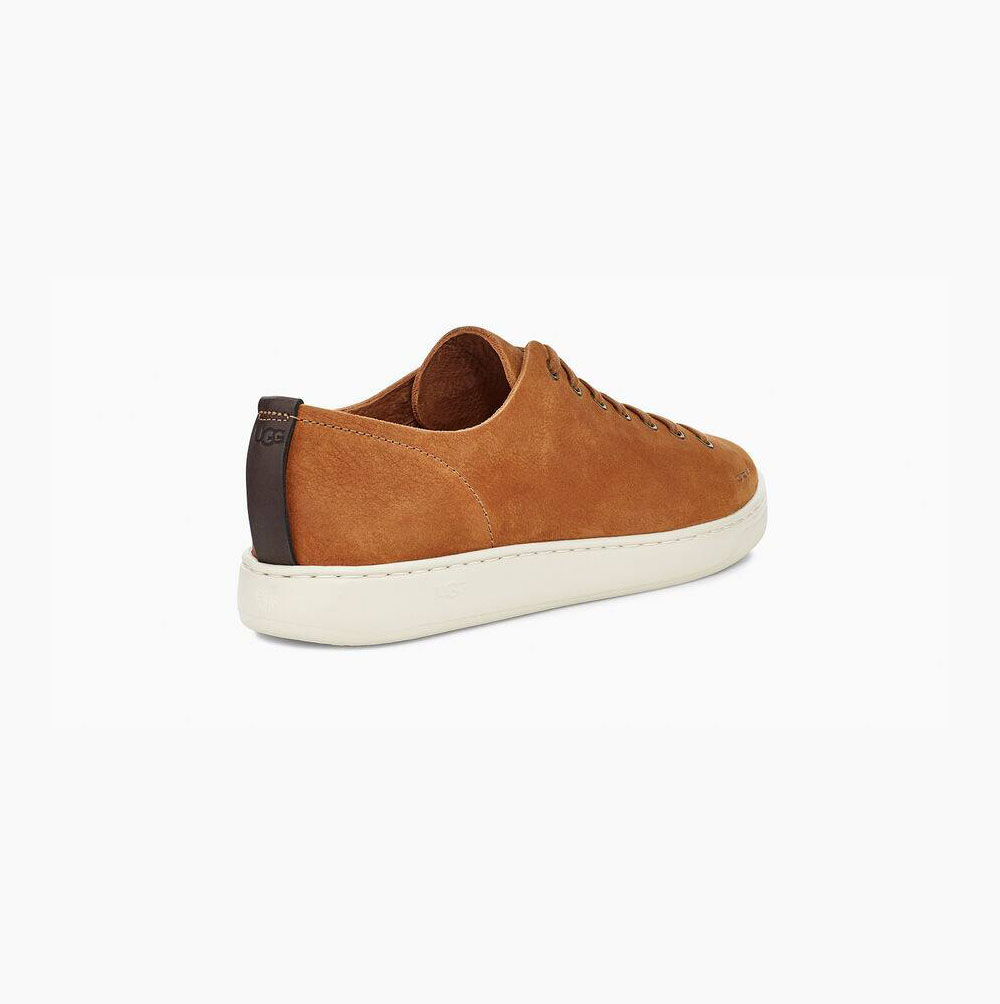 Pánské Tenisky UGG Pismo Low Hnědé | 32UWC84U