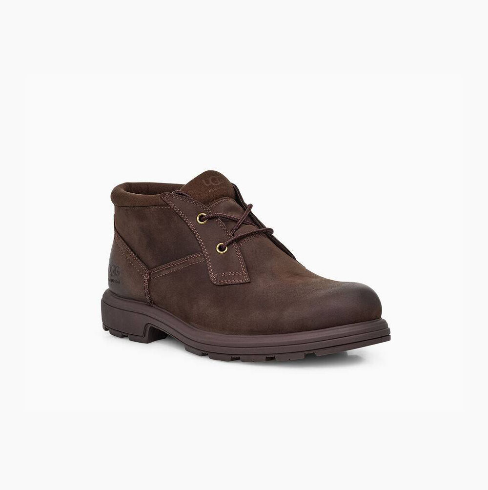 Pánské Šněrovací Boty UGG Biltmore Chukka Hnědé | 35DMUSQE