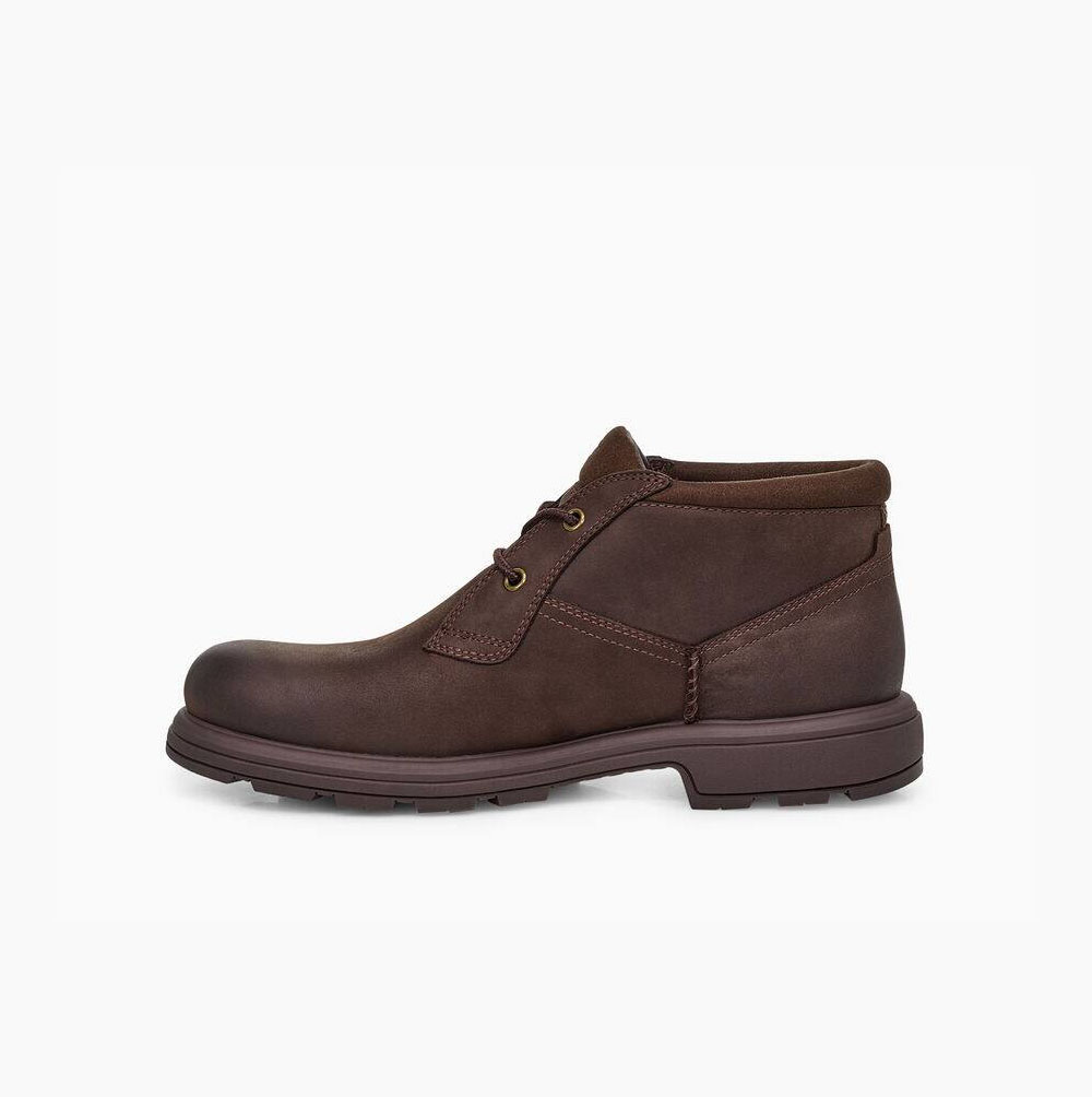 Pánské Šněrovací Boty UGG Biltmore Chukka Hnědé | 35DMUSQE