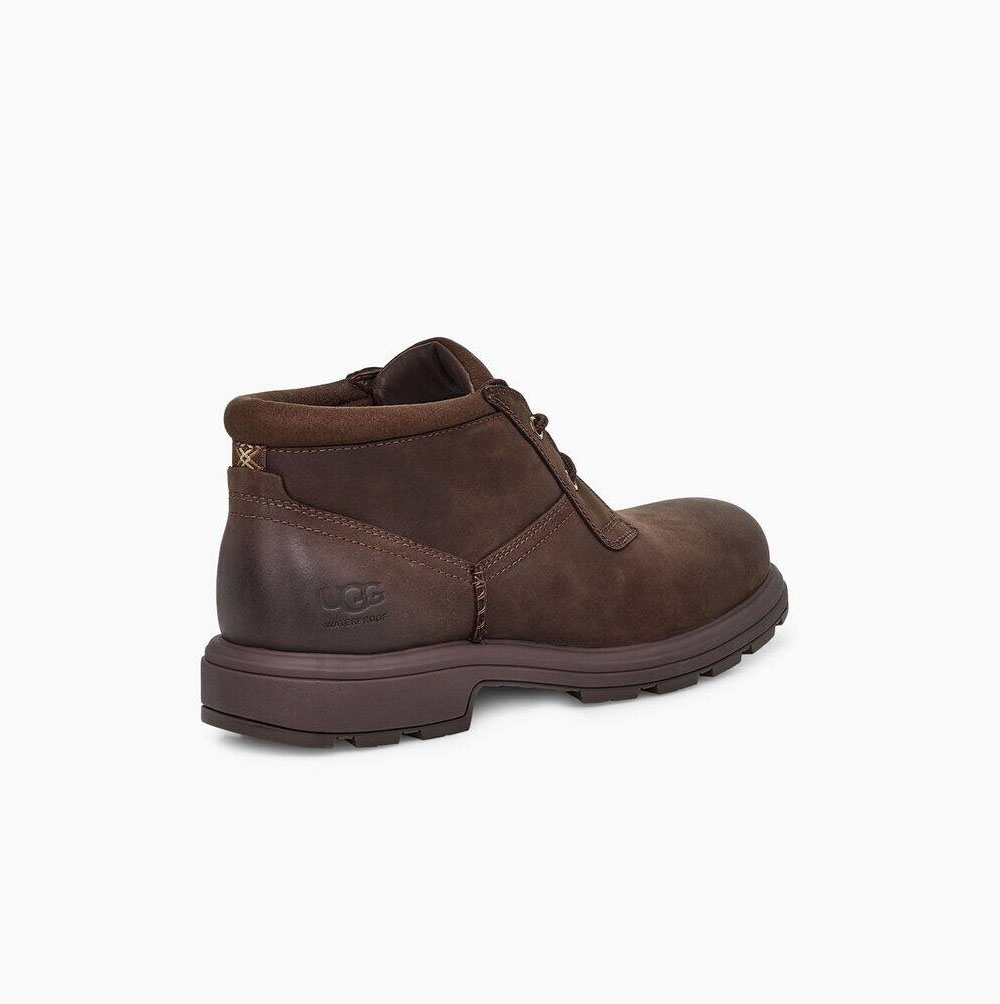 Pánské Šněrovací Boty UGG Biltmore Chukka Hnědé | 35DMUSQE