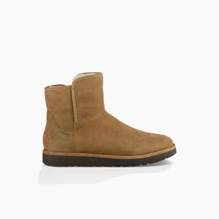 Dámské Mini Boots UGG Abree Mini Hnědožlutý | PDX6OYYJ