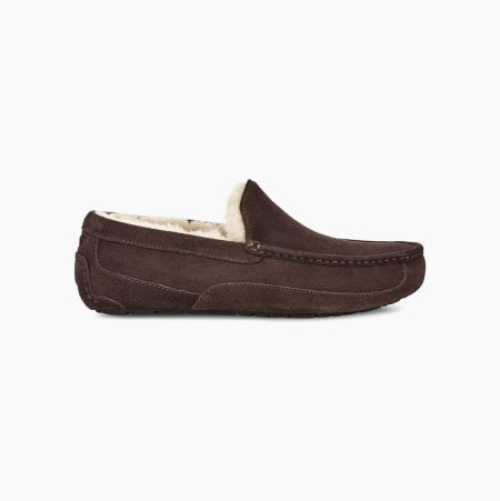 Pánské Loafers UGG Ascot Hnědé | QTVODUXZ