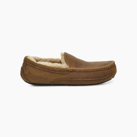 Pánské Loafers UGG Ascot Hnědé | WHSOTINY