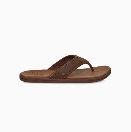 Pánské Žabky UGG Seaside Flip Flop Hnědé | LRTCDAK9